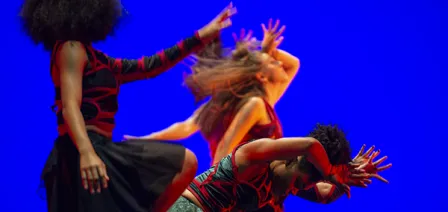 Washington University Dance Theatre: COALESCENCE - Graphic Image