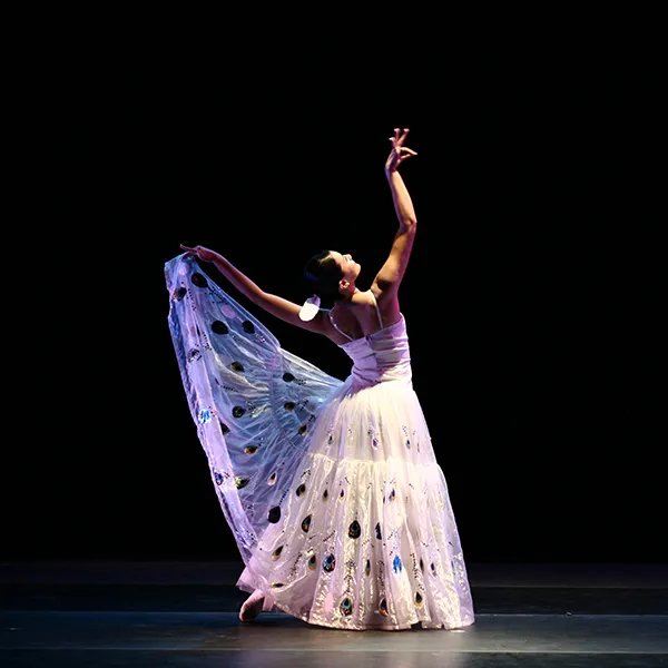 Ting-Ting Chang Dance Close Up 2008